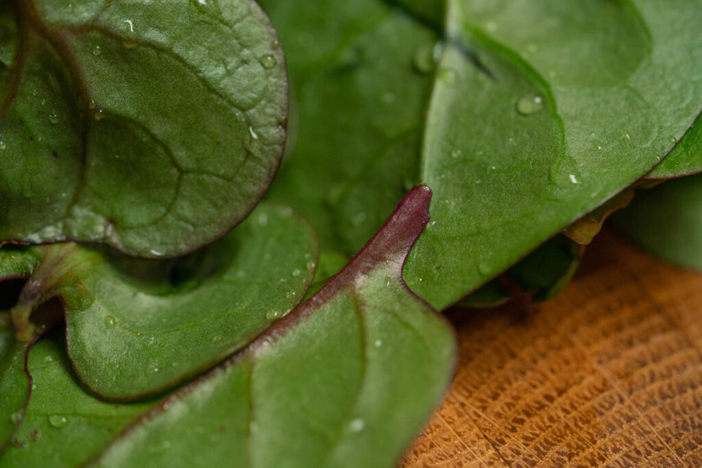 Detail: malabar spinach