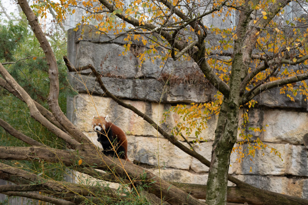 Parc de la Tete d’or, Lyon, France
