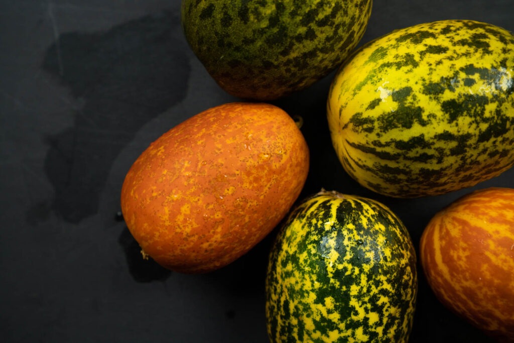 sambar cucumbers