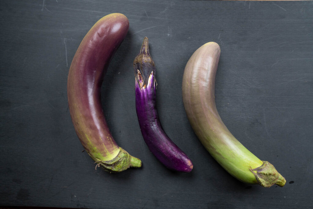 Asian Eggplants (Filipino outside and Japanese center)