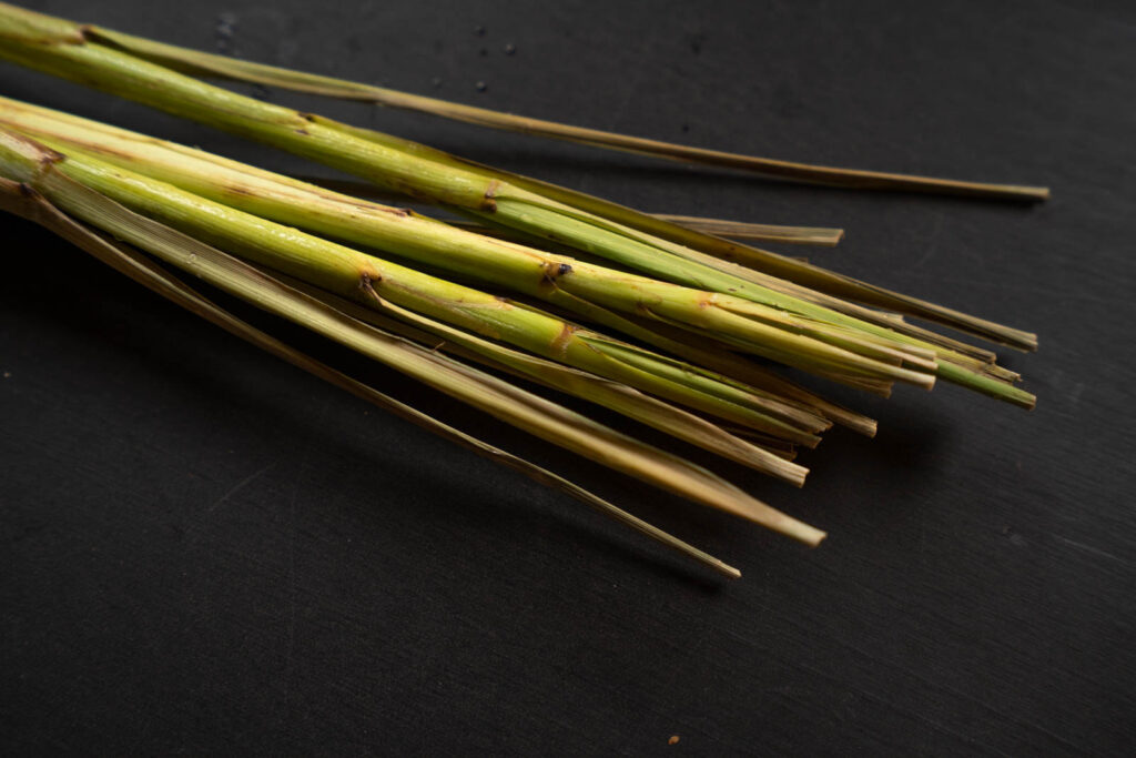 lemongrass spiky tops