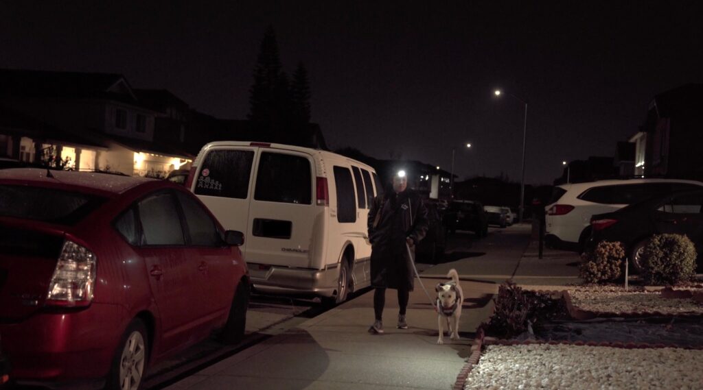 Dog walking in the dark with the Petzl Actik Core Headlamp