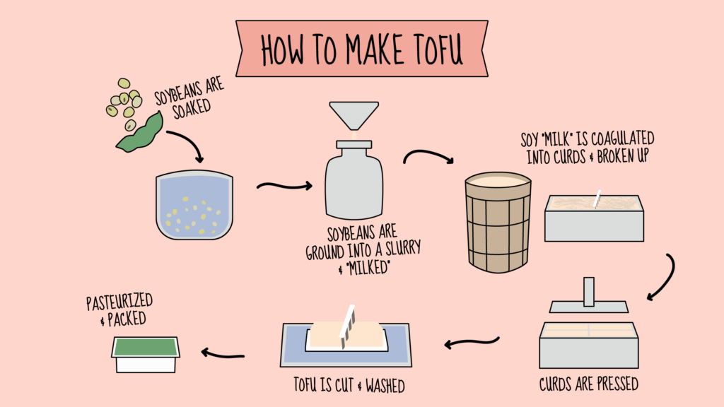 How to Make Tofu Infographic