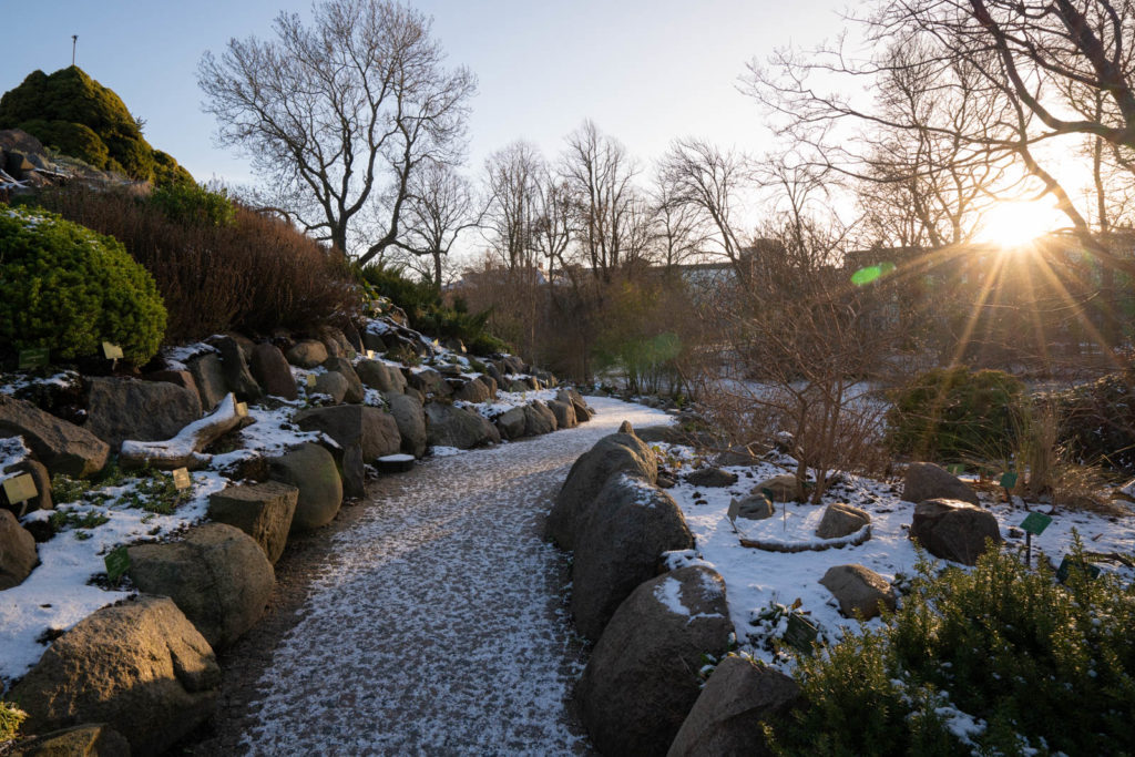 Botanical Garden (Botanisk Have), Copenhagen