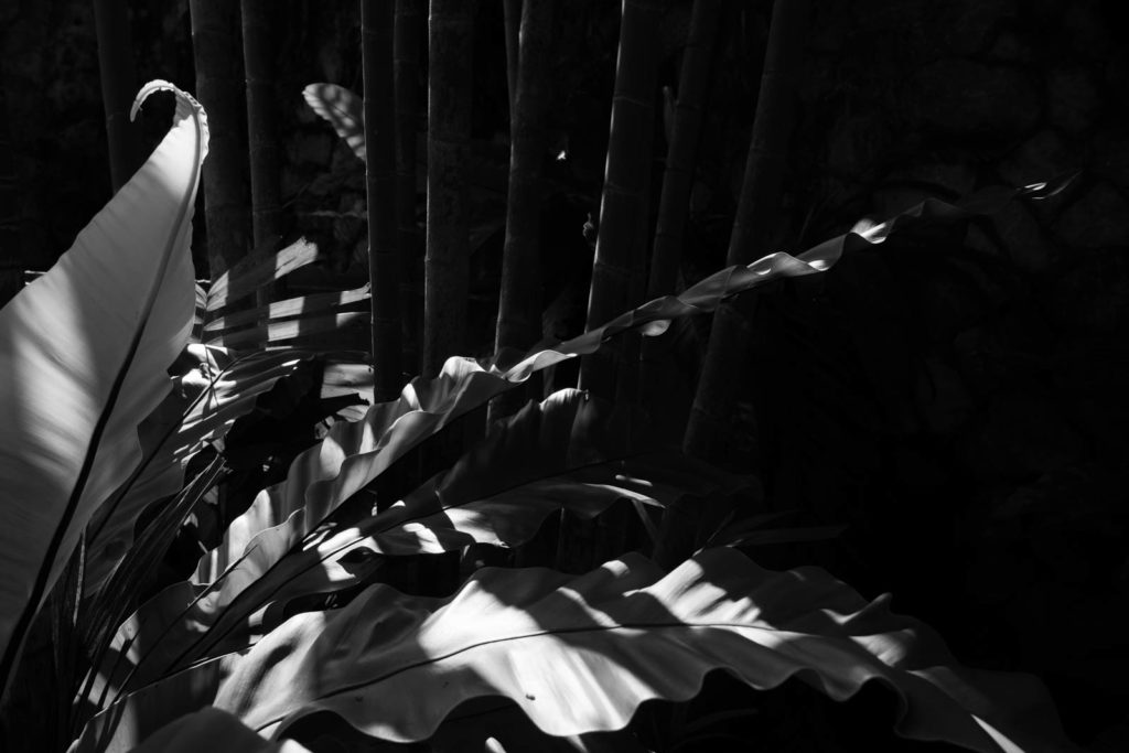 Perdana Botanical Gardens, Kuala Lumpur, Malaysia