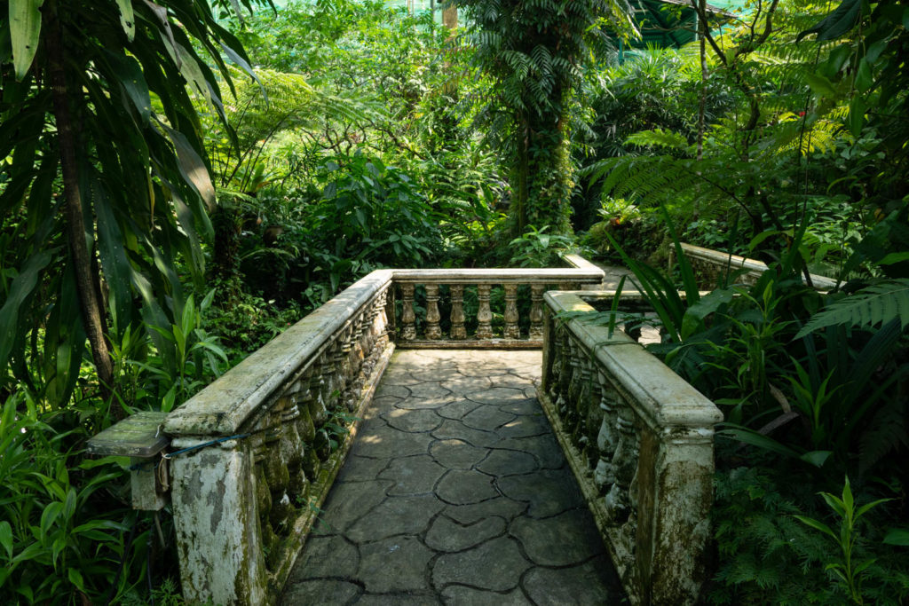 Butterfly Garden, Perdana Botanical Gardens, Kuala Lumpur, Malaysia