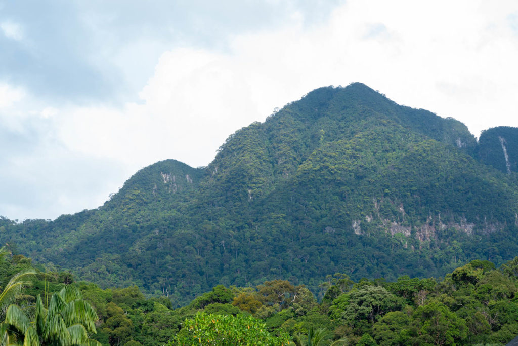 Sarawak Cultural Village, Rainforest World Music Festival 2019, Kuching, Malaysia