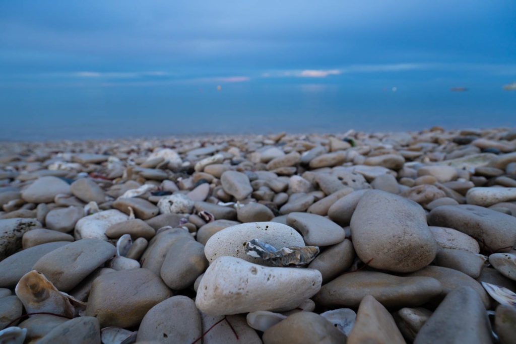 rocks and shells La Flotte shore
