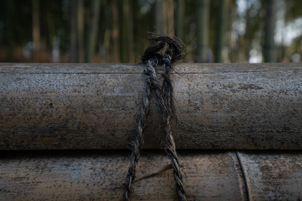 Arashiyama bamboo grove, Kyoto