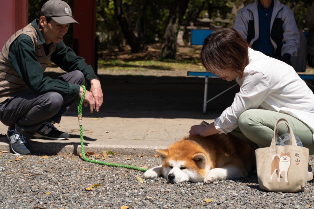 Sumiyoshi Taisha, Osaka, Japan