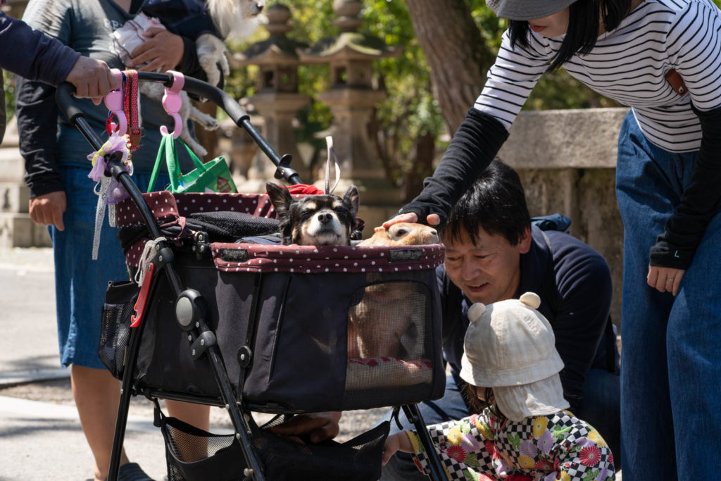Sumiyoshi Taisha, Osaka, Japan