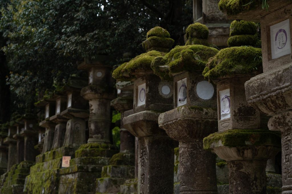 Kasuga-taisha, Nara, Japan