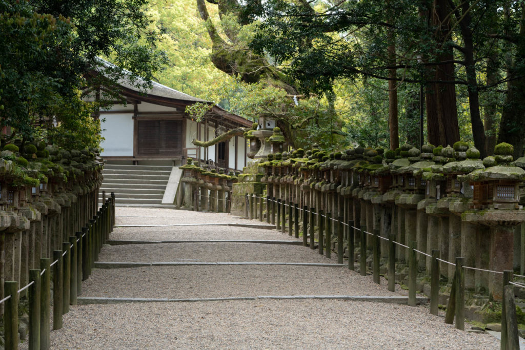 Kasuga-taisha, Nara