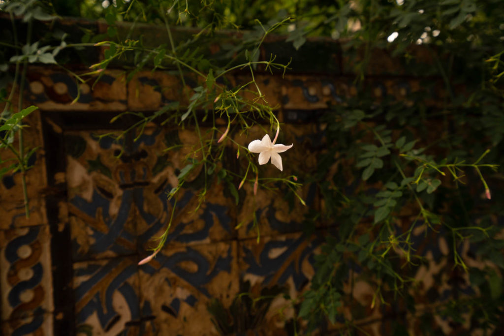 Alcázar of Seville, Spain