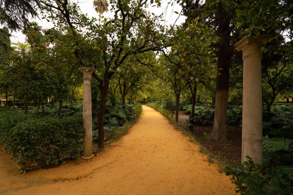 Alcázar of Seville, Spain