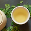 fresh moringa tea