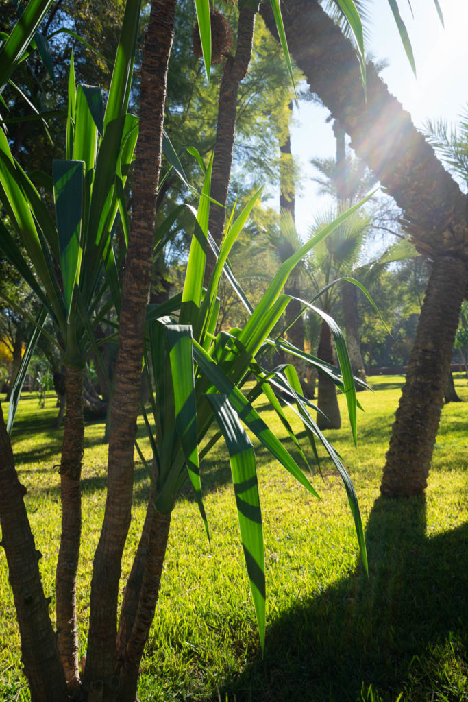 Cyber Park, Marrakech, Morocco
