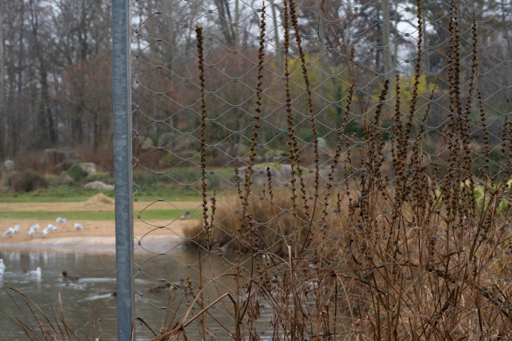 Parc de la Tete d’or, Lyon, France