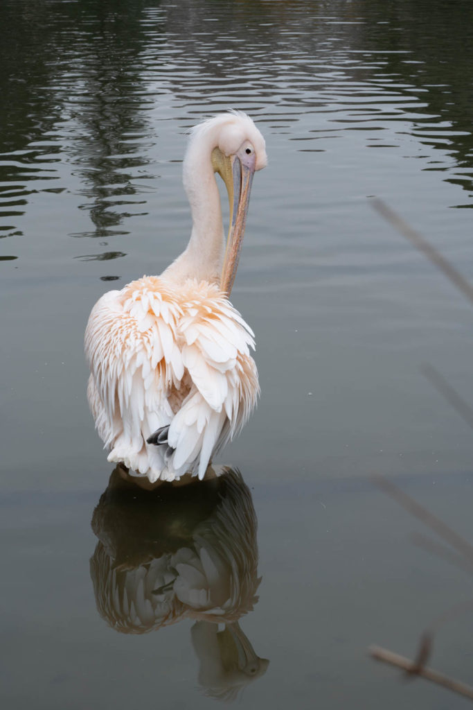 Parc de la Tete d’or, Lyon, France