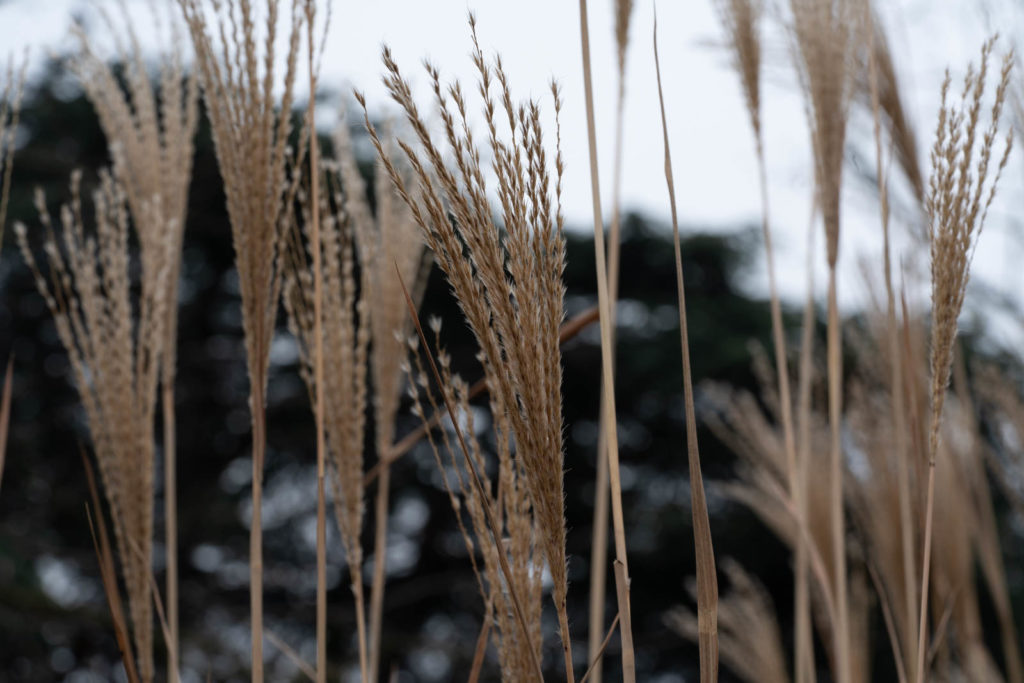 Parc de la Tete d’or, Lyon, France