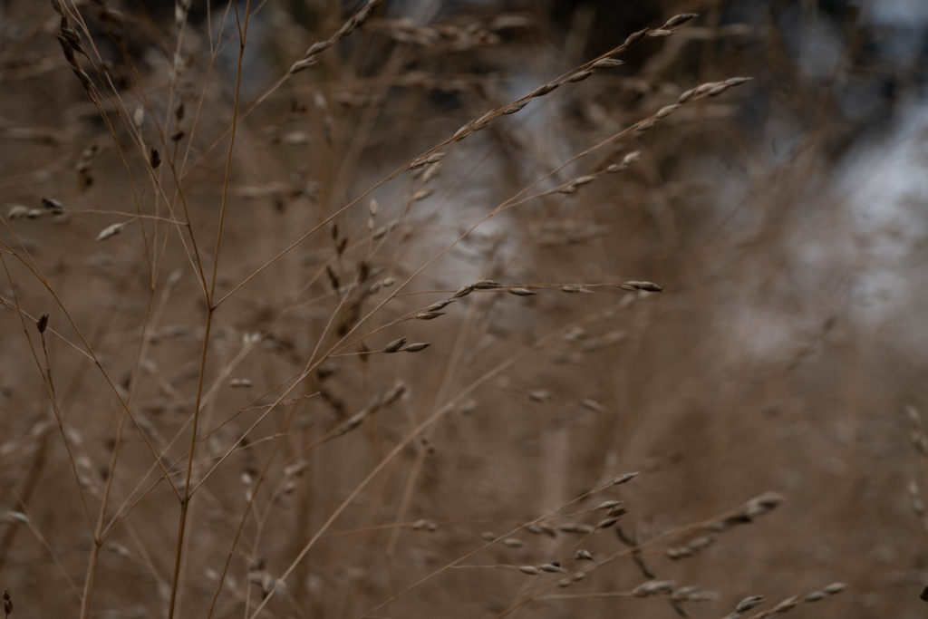 Parc de la Tete d’or, Lyon, France
