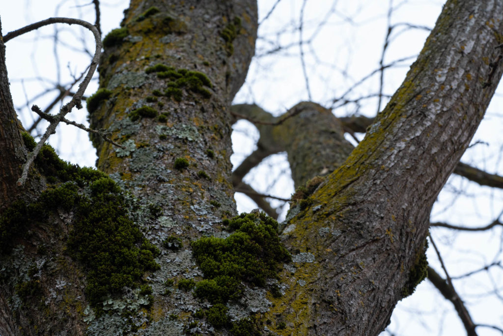 Parc de la Tete d’or, Lyon, France
