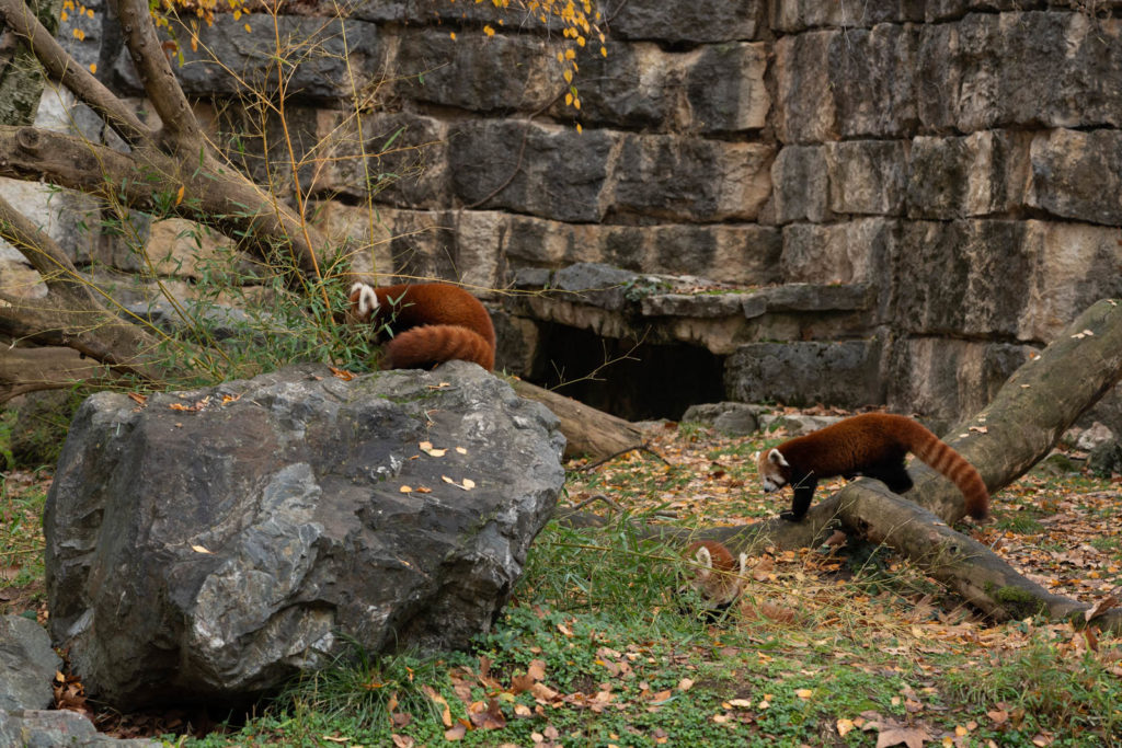 Parc de la Tete d’or, Lyon, France