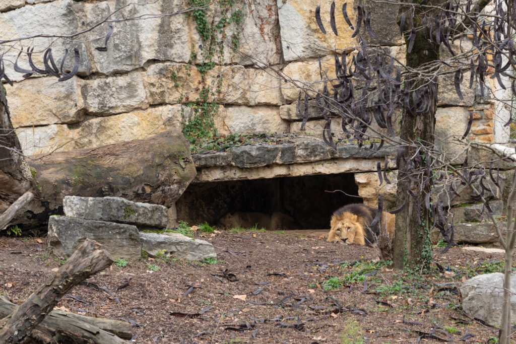 Parc de la Tete d’or, Lyon, France