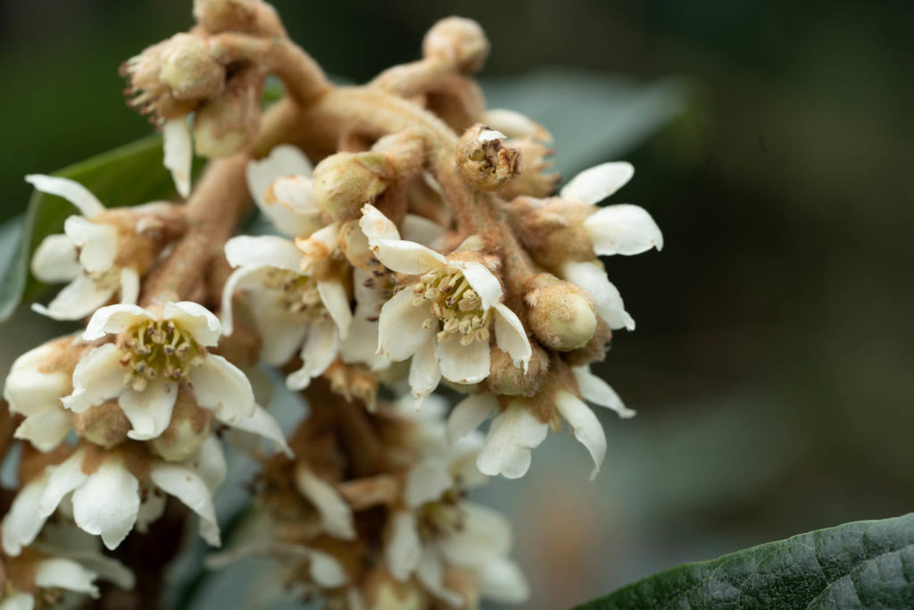 Parc de la Tete d’or, Lyon, France