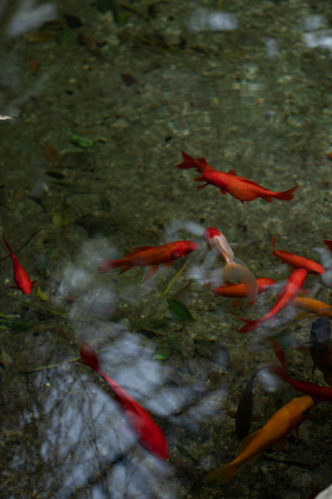 Parc de la Tete d’or, Lyon, France