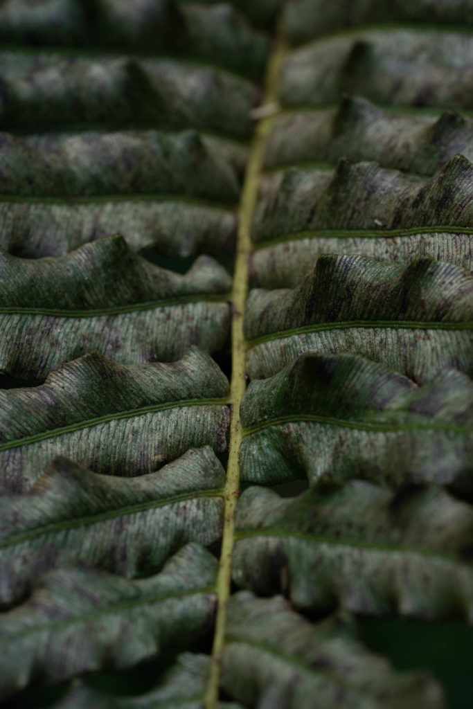Parc de la Tete d’or, Lyon, France