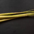 lemongrass