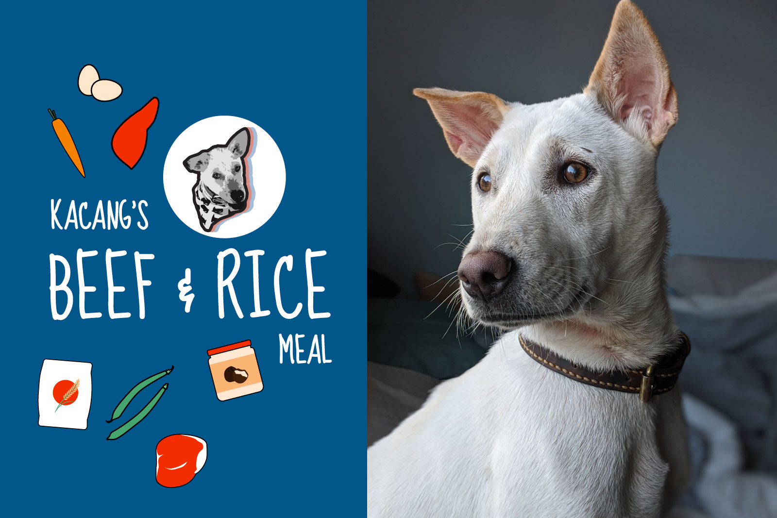 kacang's beef & rice recipe