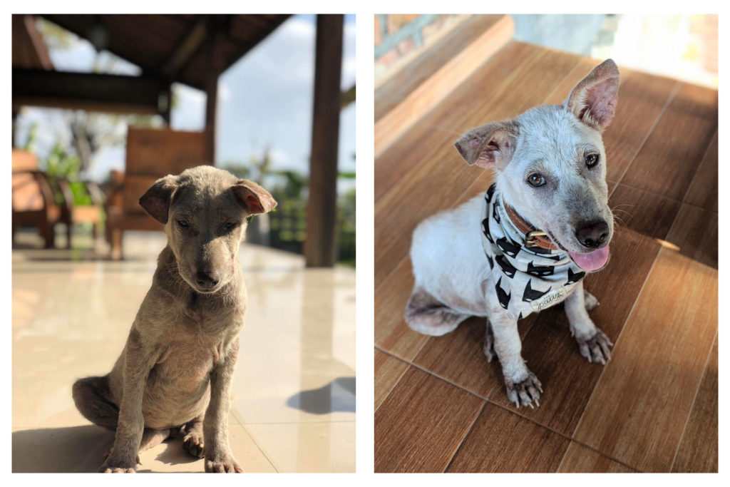 Kacang's at Day 1 and Day 30 in Bali